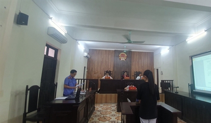 Viện KSND huyện Hoài Đức thực hiện số hóa hồ sơ và công bố tài liệu,...